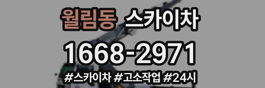 월림동 스카이차