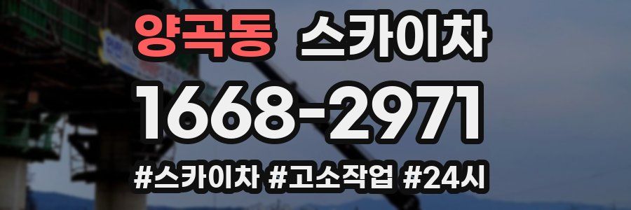 양곡동 스카이차