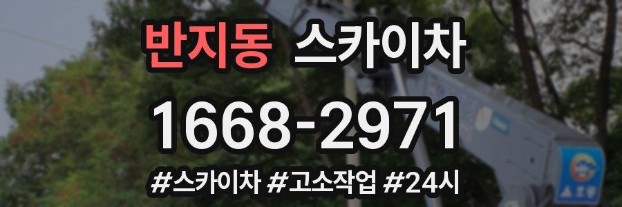 반지동 스카이차