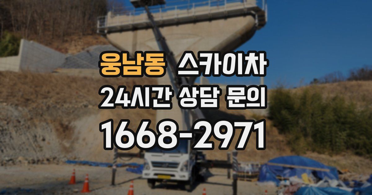 웅남동 스카이차