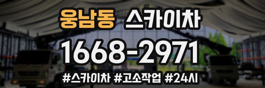 웅남동 스카이차