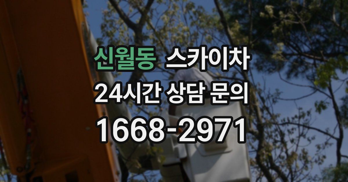 신월동 스카이차