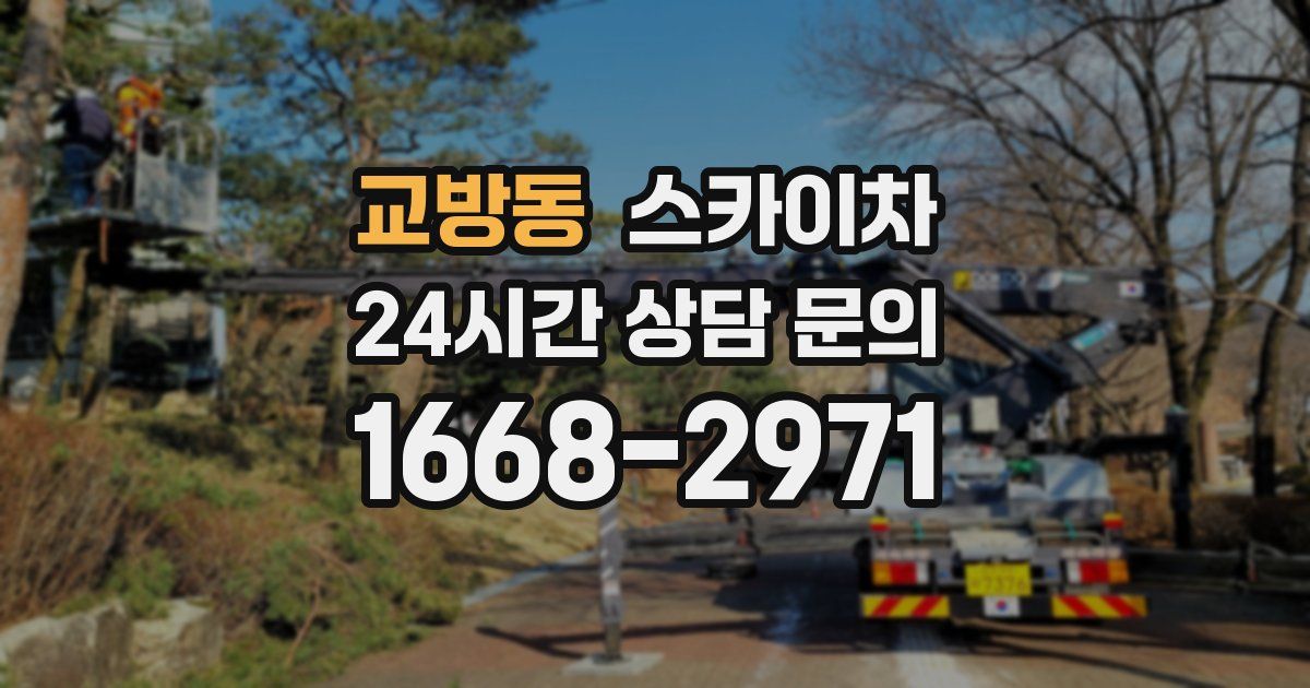 교방동 스카이차