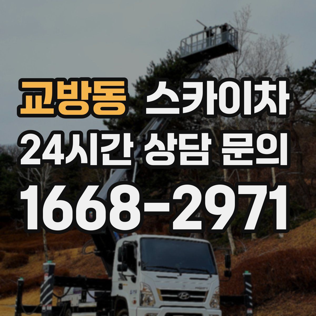교방동 스카이차