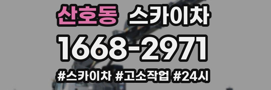 산호동 스카이차