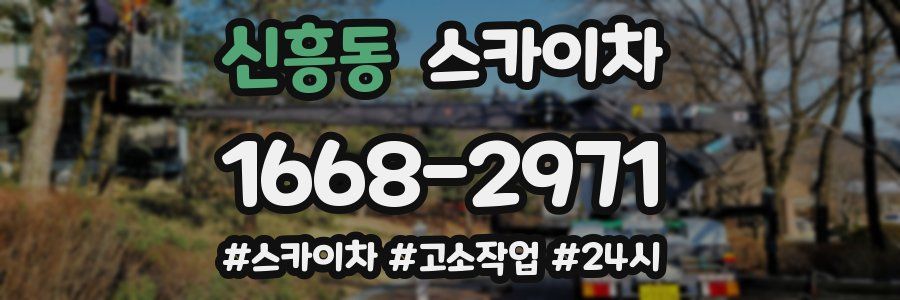 신흥동 스카이차