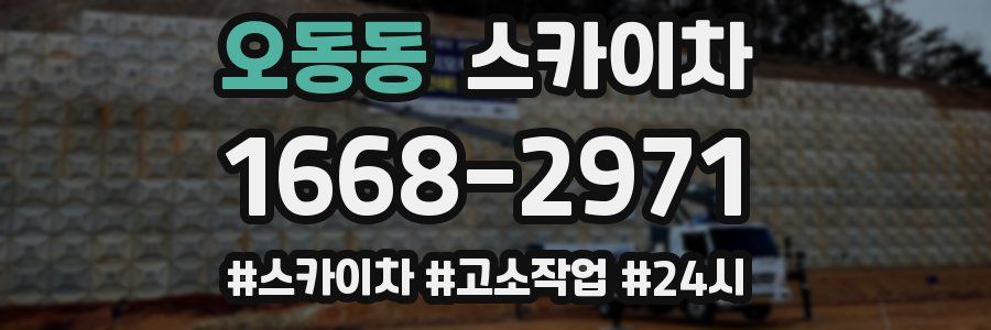 오동동 스카이차