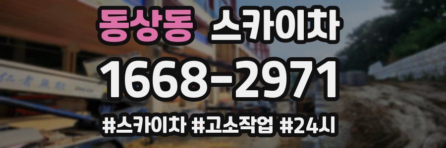 동상동 스카이차