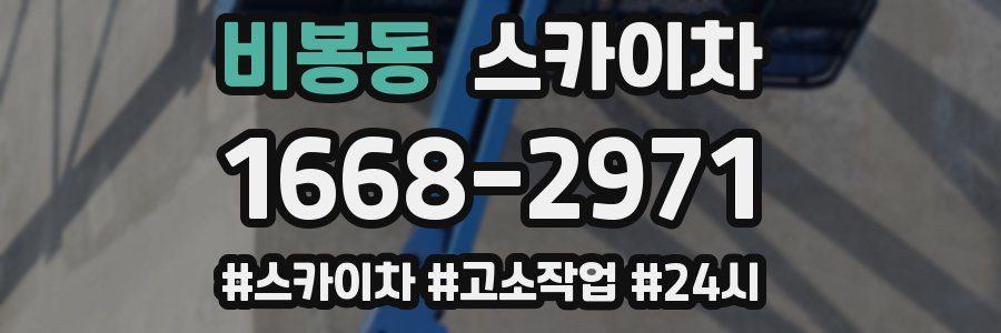 비봉동 스카이차