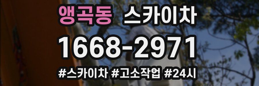 앵곡동 스카이차