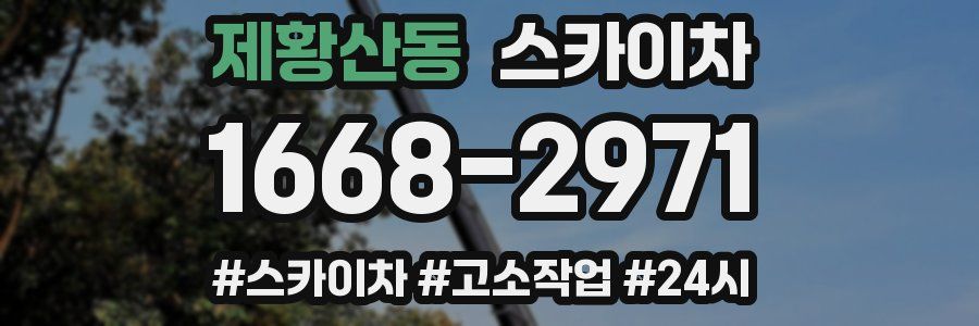 제황산동 스카이차