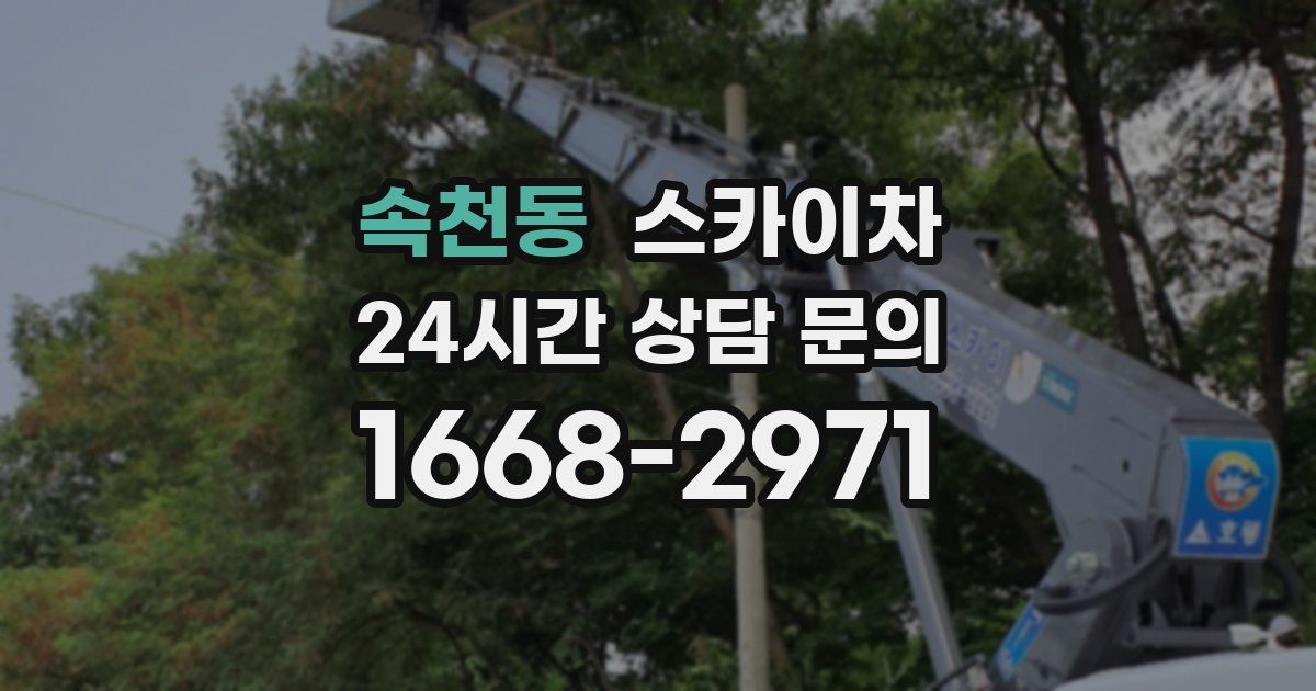 속천동 스카이차