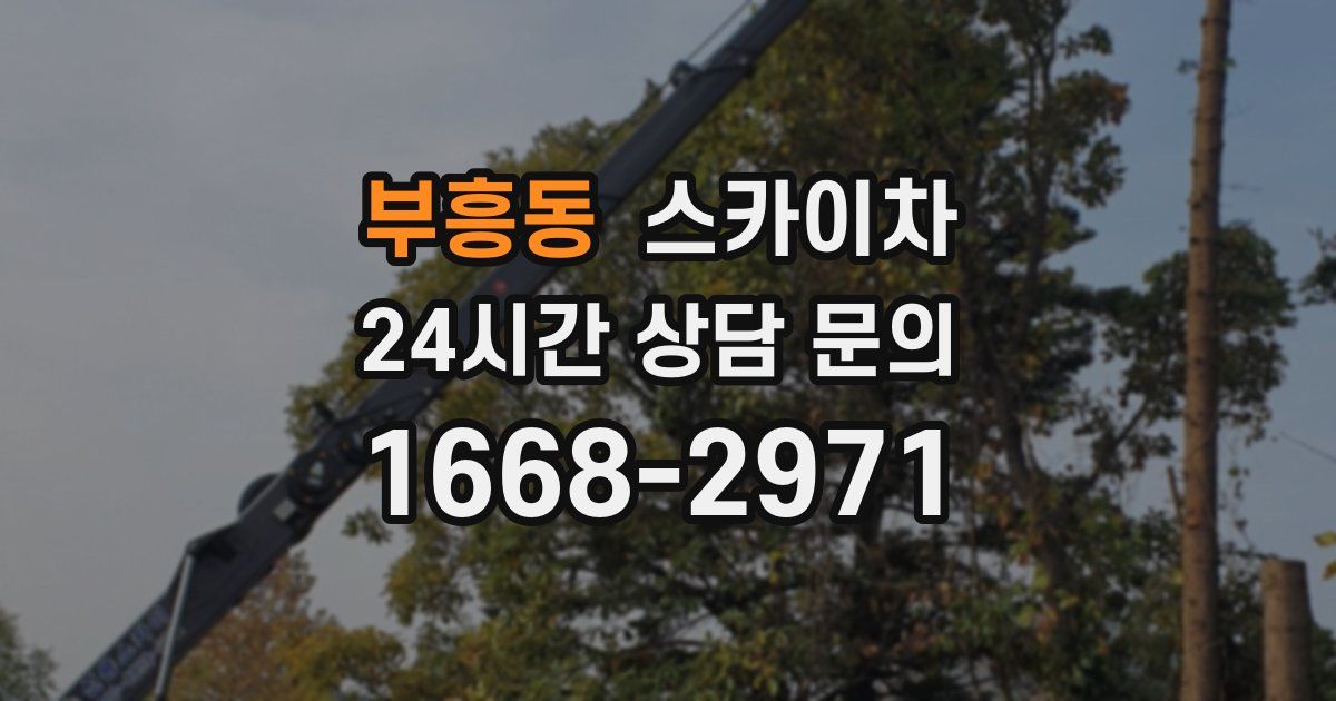 부흥동 스카이차