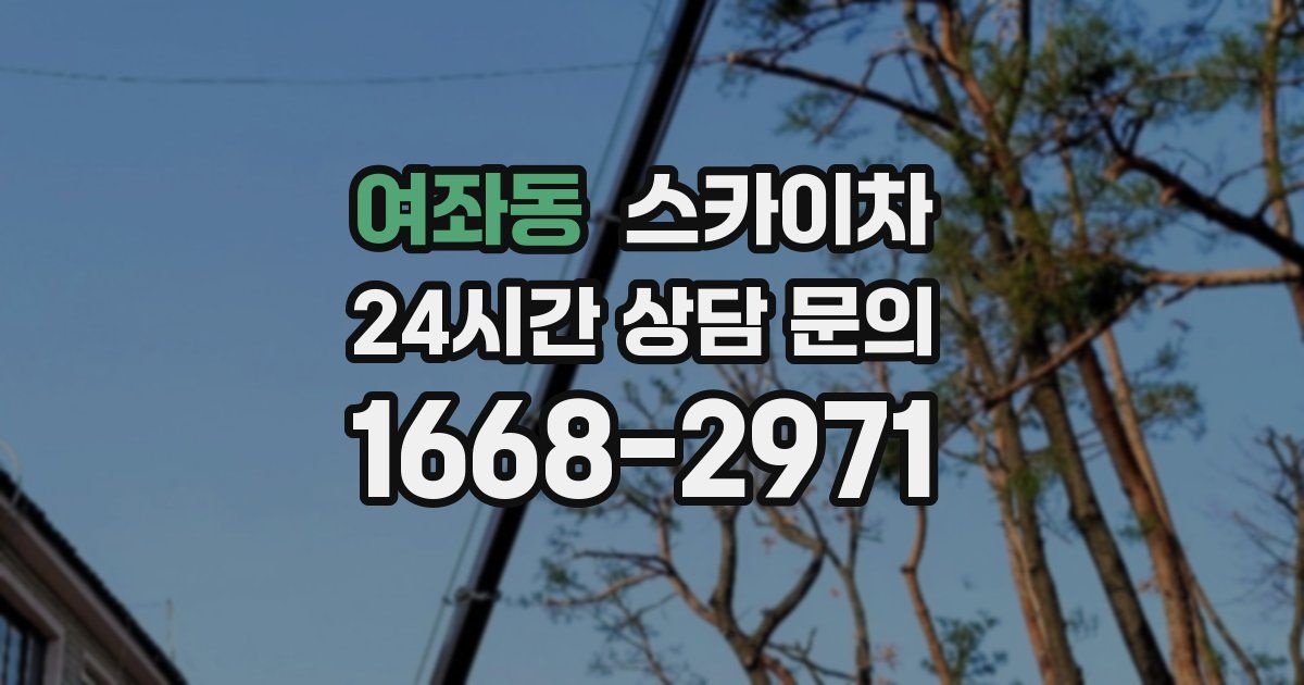 여좌동 스카이차