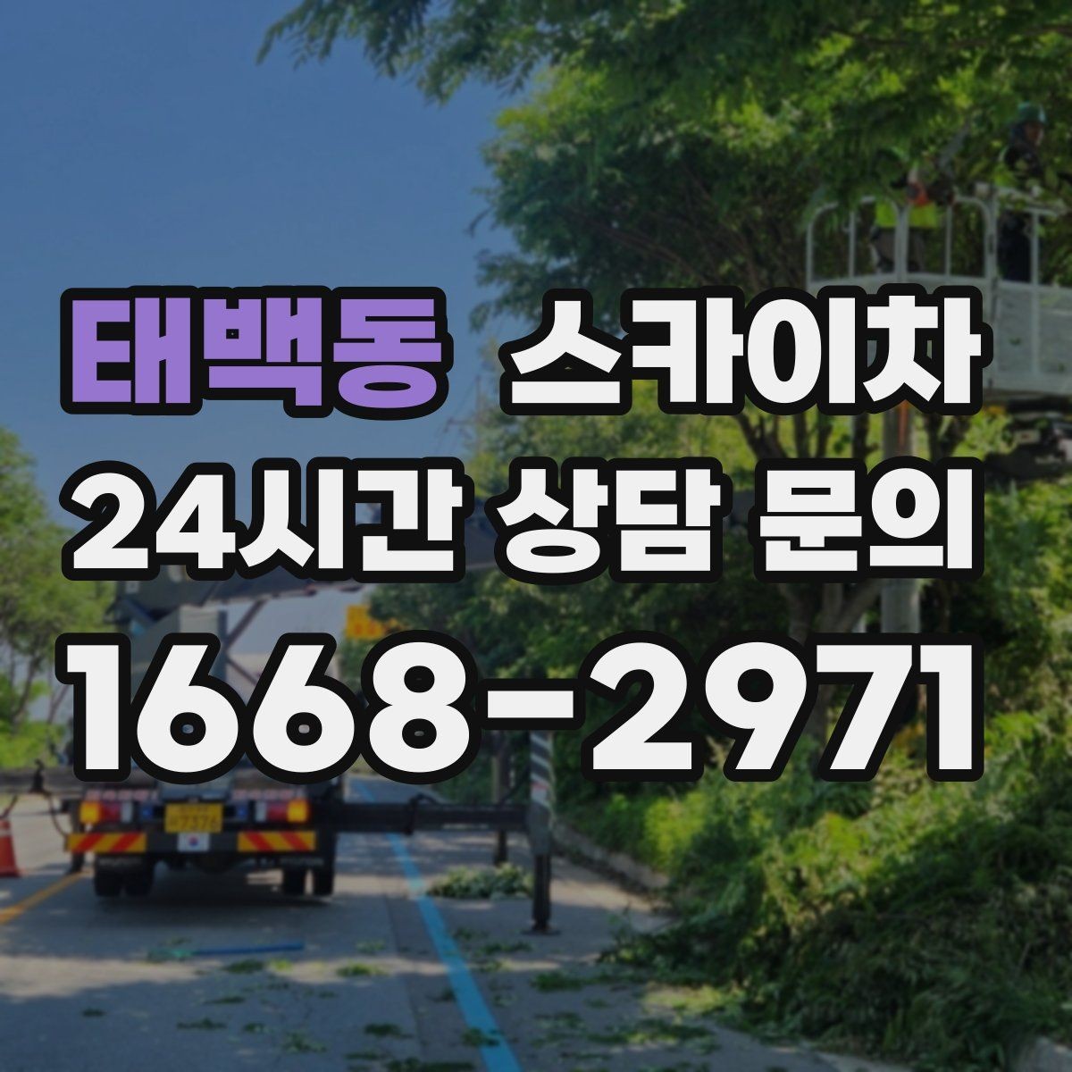 태백동 스카이차 외벽 전기함 점검과 보수 진행