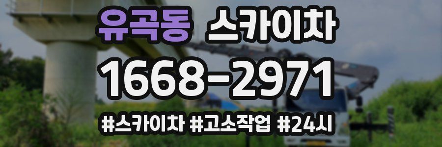 유곡동 스카이차