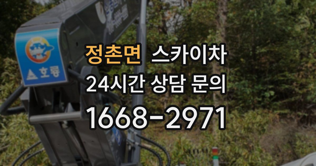 정촌면 스카이차