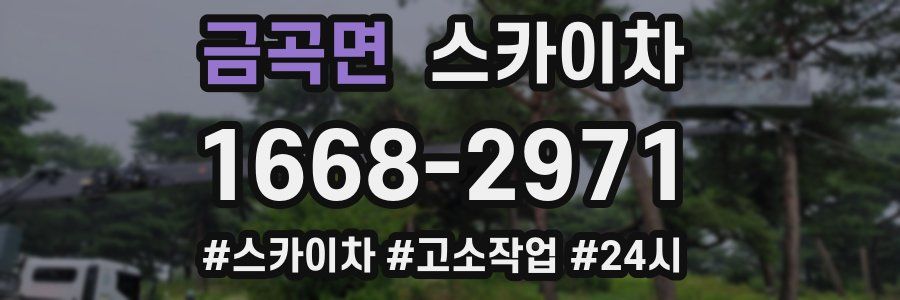 금곡면 스카이차