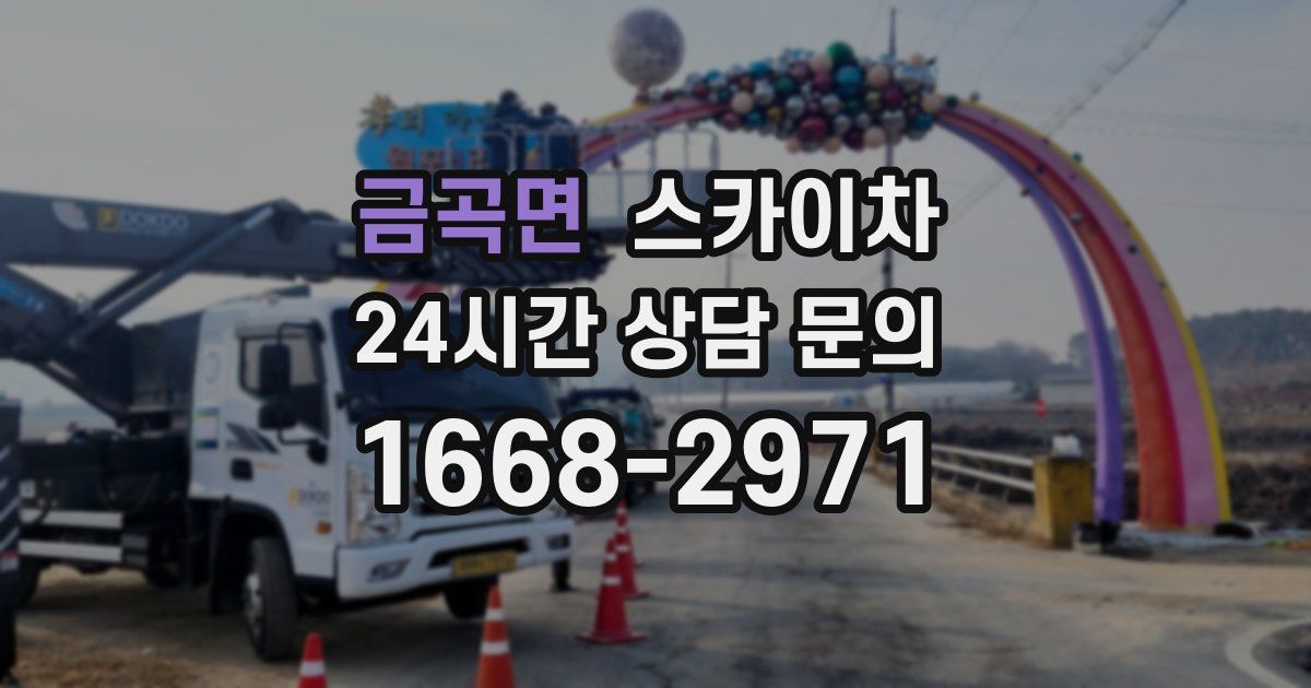 금곡면 스카이차