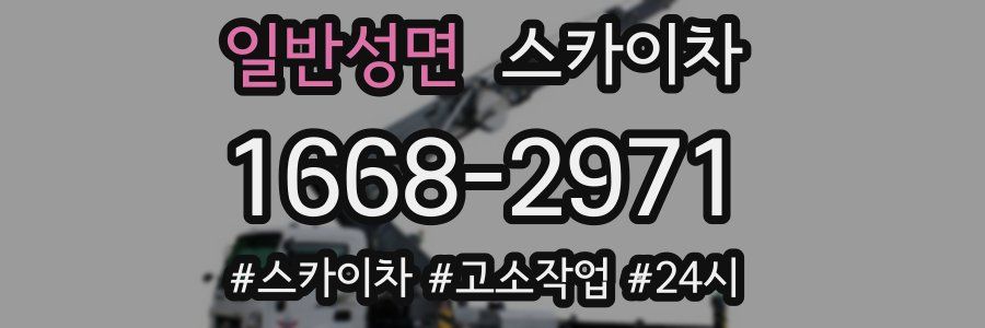 일반성면 스카이차