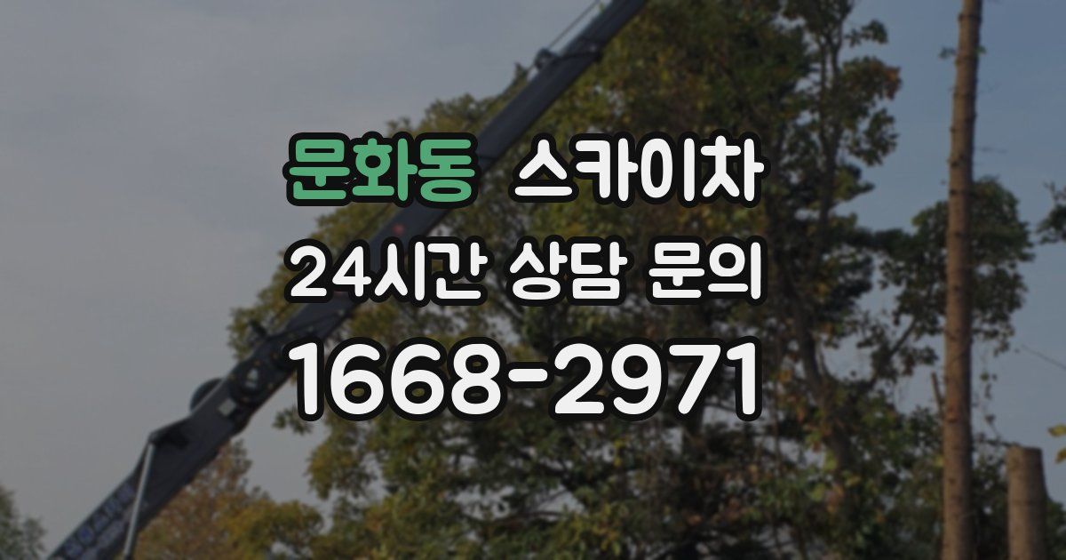 문화동 스카이차