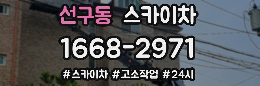 선구동 스카이차