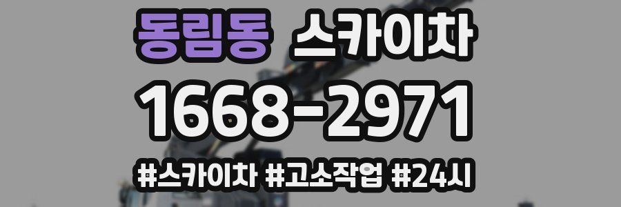 동림동 스카이차