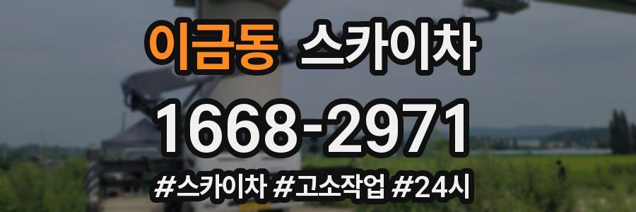 이금동 스카이차