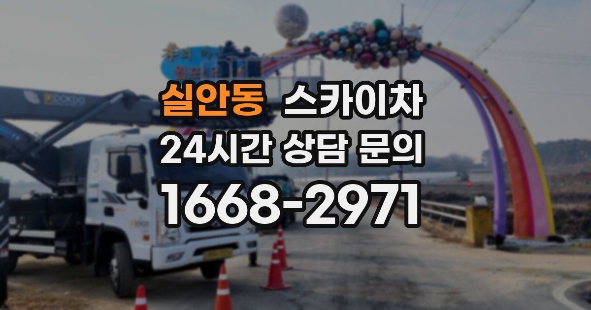 실안동 스카이차