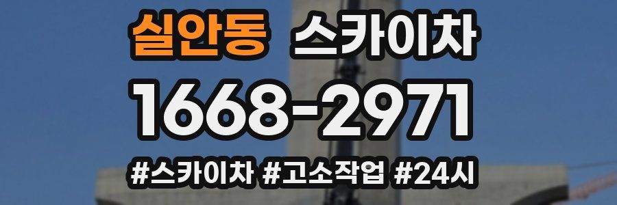 실안동 스카이차