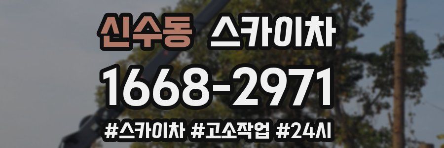 신수동 스카이차