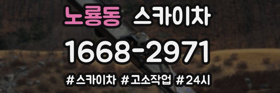 노룡동 스카이차