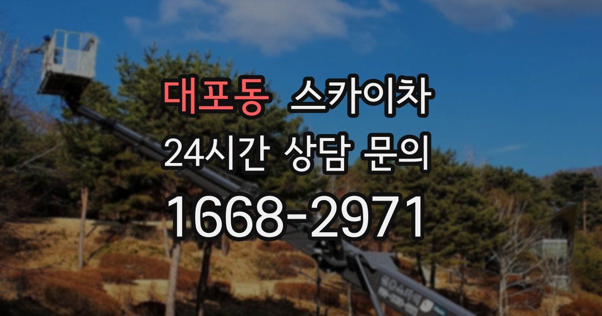 대포동 스카이차