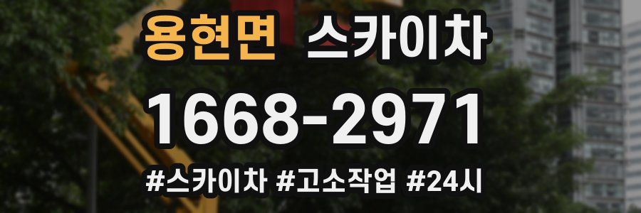 용현면 스카이차