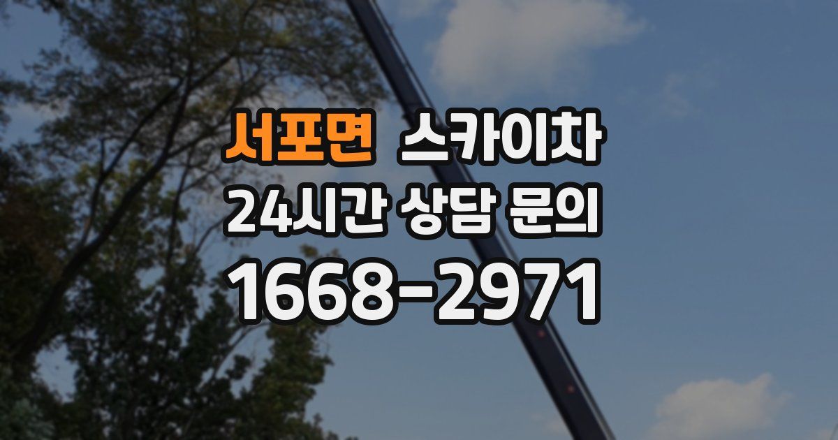 서포면 스카이차