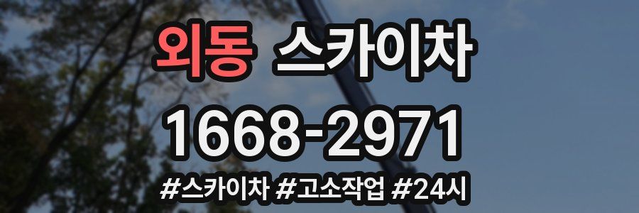 외동 스카이차