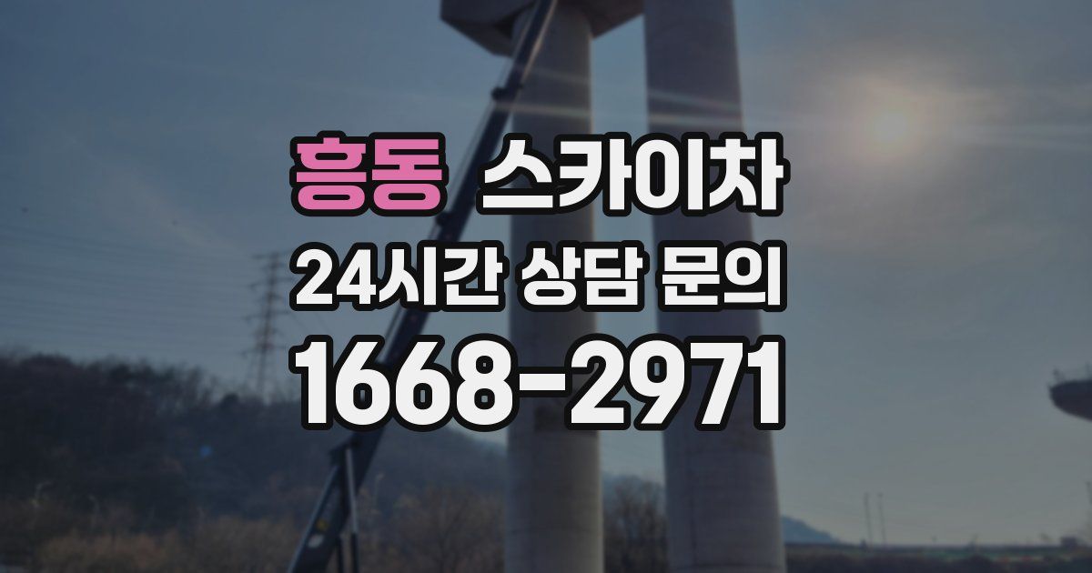 흥동 스카이차