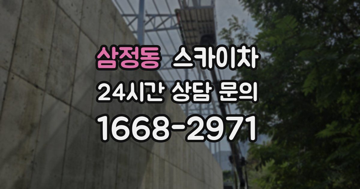 삼정동 스카이차