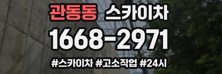 관동동 스카이차