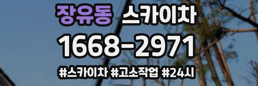 장유동 스카이차