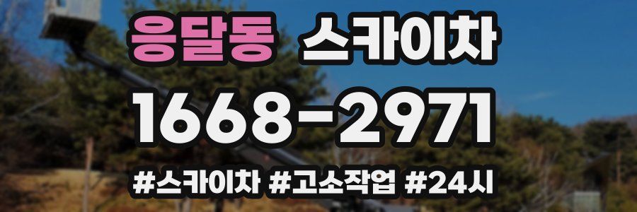 응달동 스카이차