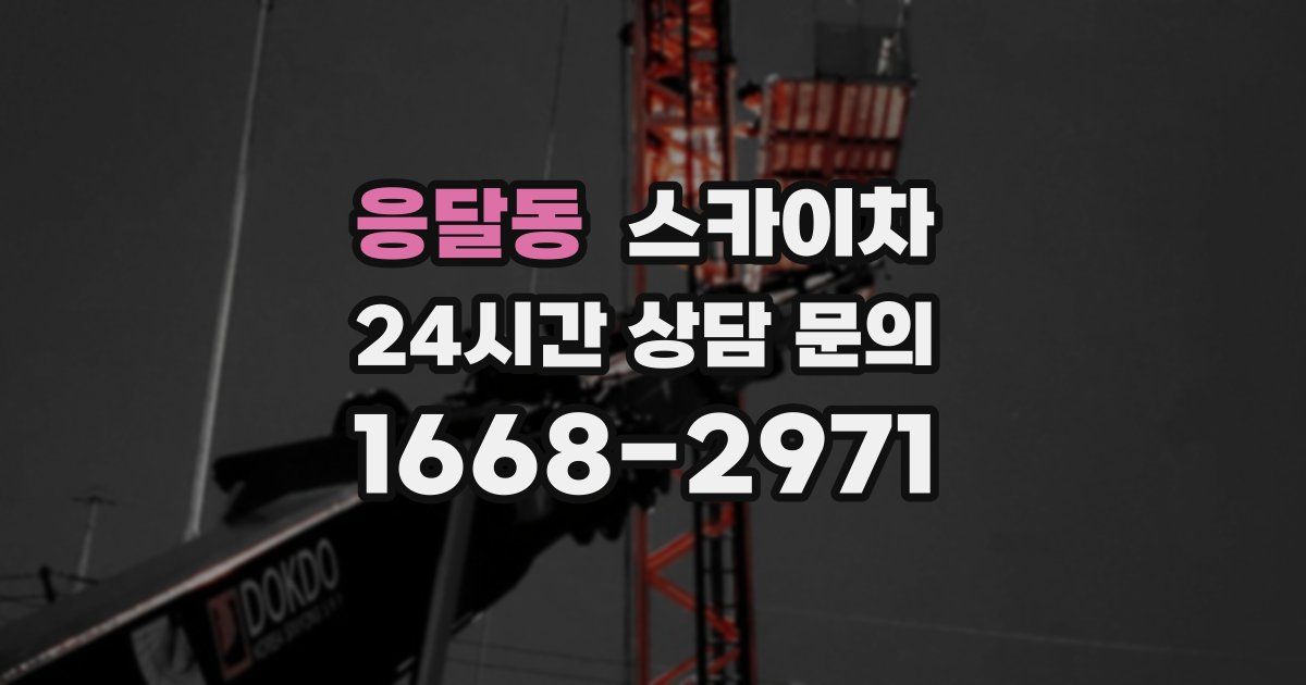 응달동 스카이차