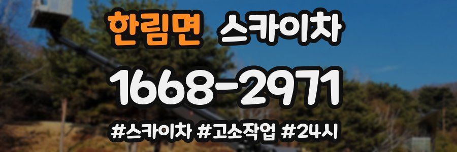 한림면 스카이차