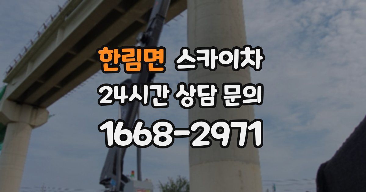 한림면 스카이차