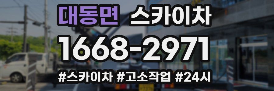 대동면 스카이차