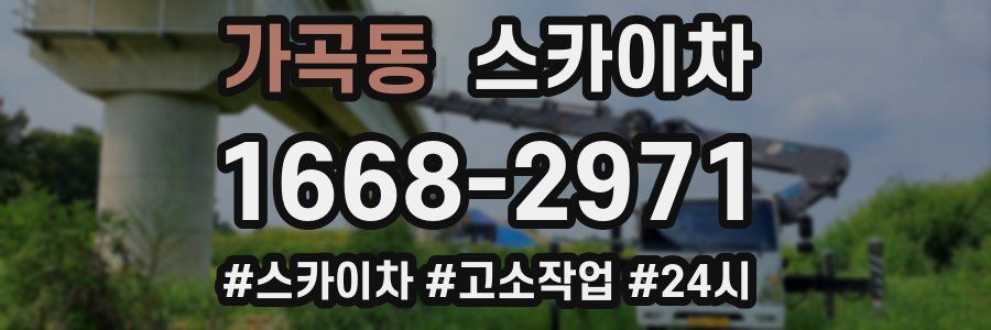 가곡동 스카이차