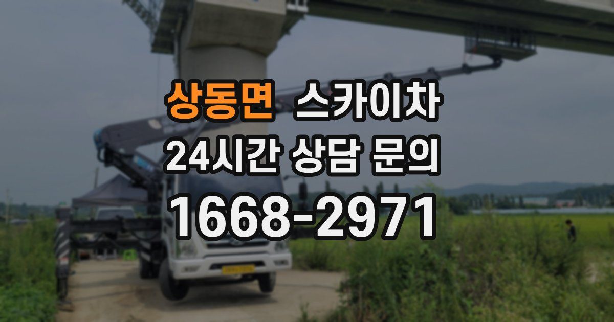 상동면 스카이차