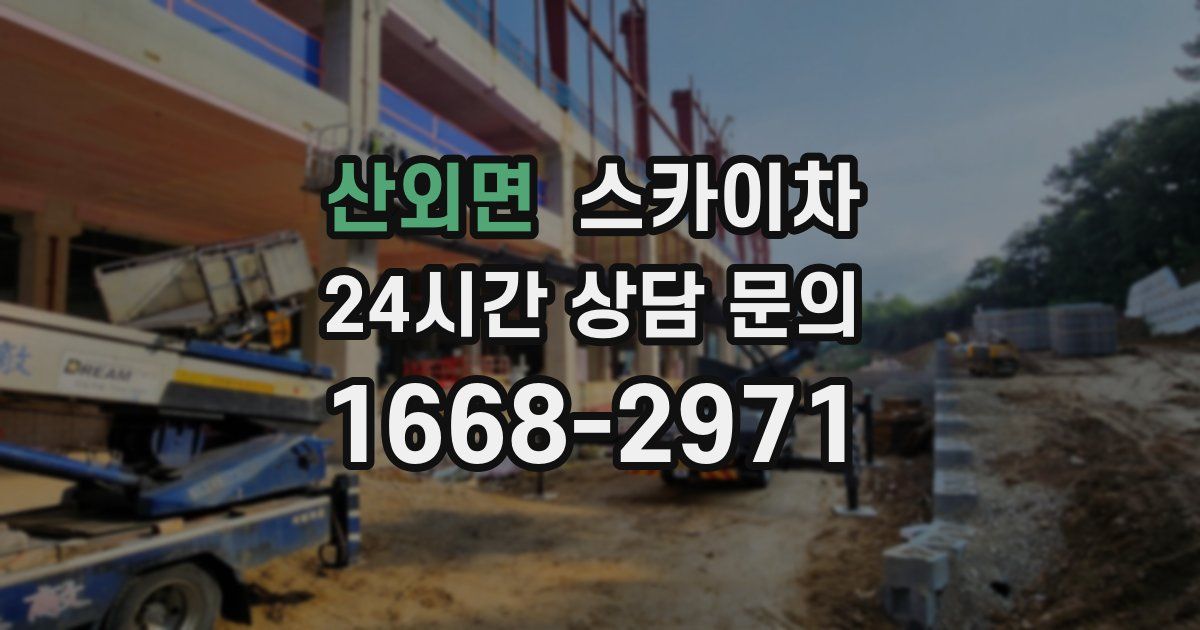 산외면 스카이차