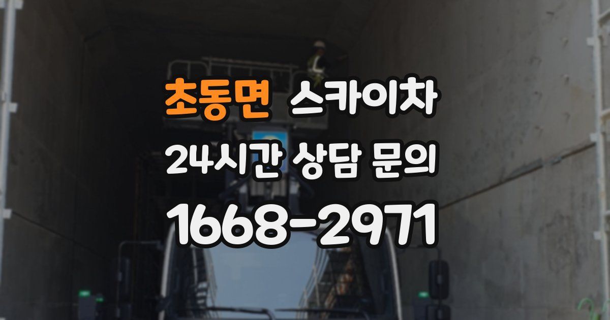 초동면 스카이차