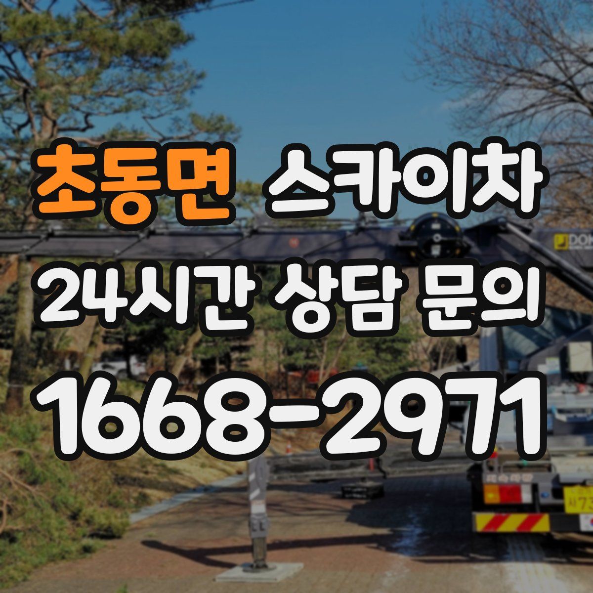 초동면 스카이차